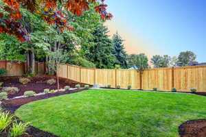 Beautiful wide yard lined by a blonde coloured wooden fence in Milton Ontario